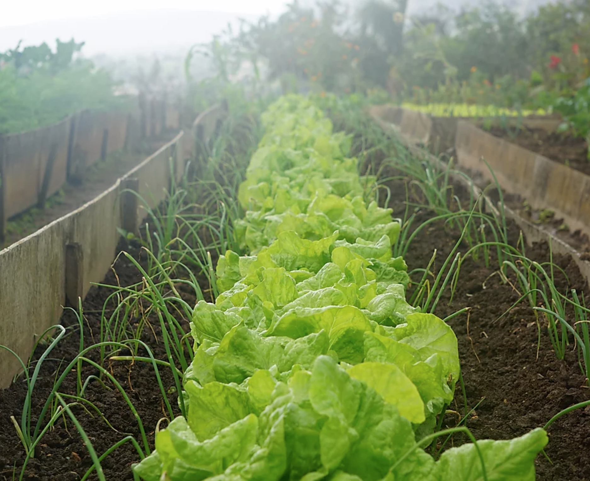 Schermafbeelding 2020-04-29 om 16.10.37